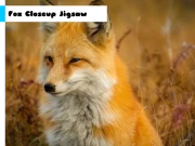 Fox Closeup Jigsaw Online Puzzle Games on NaptechGames.com