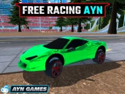 Free Racing Ayn Online Racing Games on NaptechGames.com