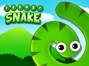Frenzy Snake Online Casual Games on NaptechGames.com