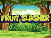 Fruit Slasher HD Online Arcade Games on NaptechGames.com