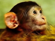 Funny Baby Monkey Online Puzzle Games on NaptechGames.com
