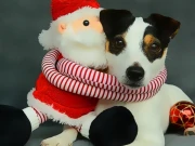 Funny Christmas Dogs Online Puzzle Games on NaptechGames.com