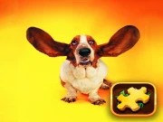 Funny Dogs Puzzle Online Puzzle Games on NaptechGames.com