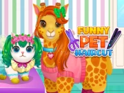 Funny Pet Haircut Online Hypercasual Games on NaptechGames.com