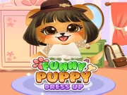 Funny Puppy Dressup Online Dress-up Games on NaptechGames.com