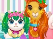Funy Pet Haircut Online Girls Games on NaptechGames.com