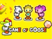 Game Of Coose Online Puzzle Games on NaptechGames.com