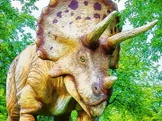Giant Triceratops Puzzle Online Puzzle Games on NaptechGames.com