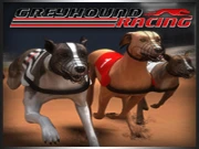 Greyhound Racing Online Racing & Driving Games on NaptechGames.com