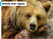 Grizzly Bear Jigsaw Online Puzzle Games on NaptechGames.com