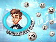 Guessmaster Bingo Online Hypercasual Games on NaptechGames.com