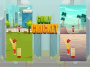 Gully Cricket Online sports Games on NaptechGames.com