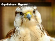 Gyrfalcon Jigsaw Online Puzzle Games on NaptechGames.com