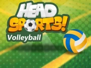 Head Sports Volleyball Online Sports Games on NaptechGames.com