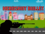 HeadShot Bullet Online Casual Games on NaptechGames.com