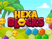 Hexa Blocks Online Puzzle Games on NaptechGames.com