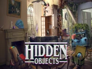 Hidden Objects: Brain Teaser Online Casual Games on NaptechGames.com