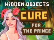 Hidden Objects Cure For The Prince Online Adventure Games on NaptechGames.com