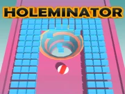 Holeminator Online Casual Games on NaptechGames.com