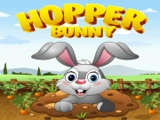Hopper bunny Online Casual Games on NaptechGames.com