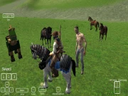 Horse Riding Simulator Online Simulation Games on NaptechGames.com