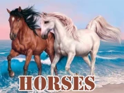 Horses Slide Online Puzzle Games on NaptechGames.com