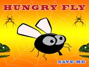Hungry Fly Online Casual Games on NaptechGames.com