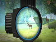 Hunter Training Online Shooter Games on NaptechGames.com