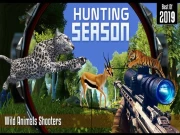 Hunting Season Online Shooting Games on NaptechGames.com