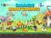 Image Matching Educational Game Online Educational Games on NaptechGames.com