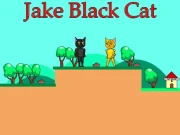 Jake Black Cat Online Arcade Games on NaptechGames.com