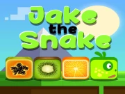 Jake the Snake Online HTML5 Games on NaptechGames.com