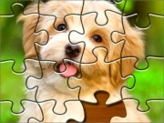 Jigsaw Puzzle 2020 Online Puzzle Games on NaptechGames.com