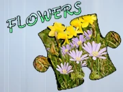 Jigsaw Puzzle: Flowers Online Jigsaw Games on NaptechGames.com