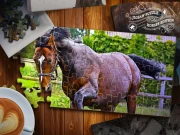 Jigsaw Puzzle Horses Edition Online Puzzle Games on NaptechGames.com