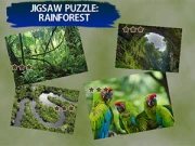 Jigsaw Puzzle Rain Forest Online Jigsaw Games on NaptechGames.com