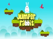 Jumper Rabbit Online Agility Games on NaptechGames.com