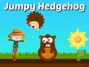 Jumpy Hedgehog Online Casual Games on NaptechGames.com