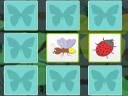 Kids Memory - Insects Online Puzzle Games on NaptechGames.com