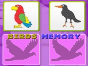 Kids Memory with Birds Online Puzzle Games on NaptechGames.com