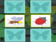 Kids Memory with Insects Online HTML5 Games on NaptechGames.com
