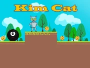 Kim Cat Online Arcade Games on NaptechGames.com