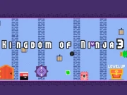 Kingdom of Ninja 3 Online Arcade Games on NaptechGames.com