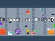 Kingdom of Ninja 7 Online Arcade Games on NaptechGames.com