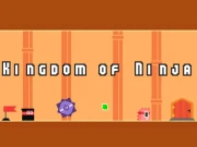 Kingdom of Ninja Online Arcade Games on NaptechGames.com