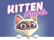 Kitten Match Online Puzzle Games on NaptechGames.com