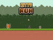 Kitty Run Online arcade Games on NaptechGames.com
