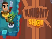 Knight Shot Online Action Games on NaptechGames.com