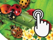 Ladybug Clicker Online Clicker Games on NaptechGames.com