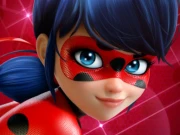 Ladybug Dress Up Online Girls Games on NaptechGames.com